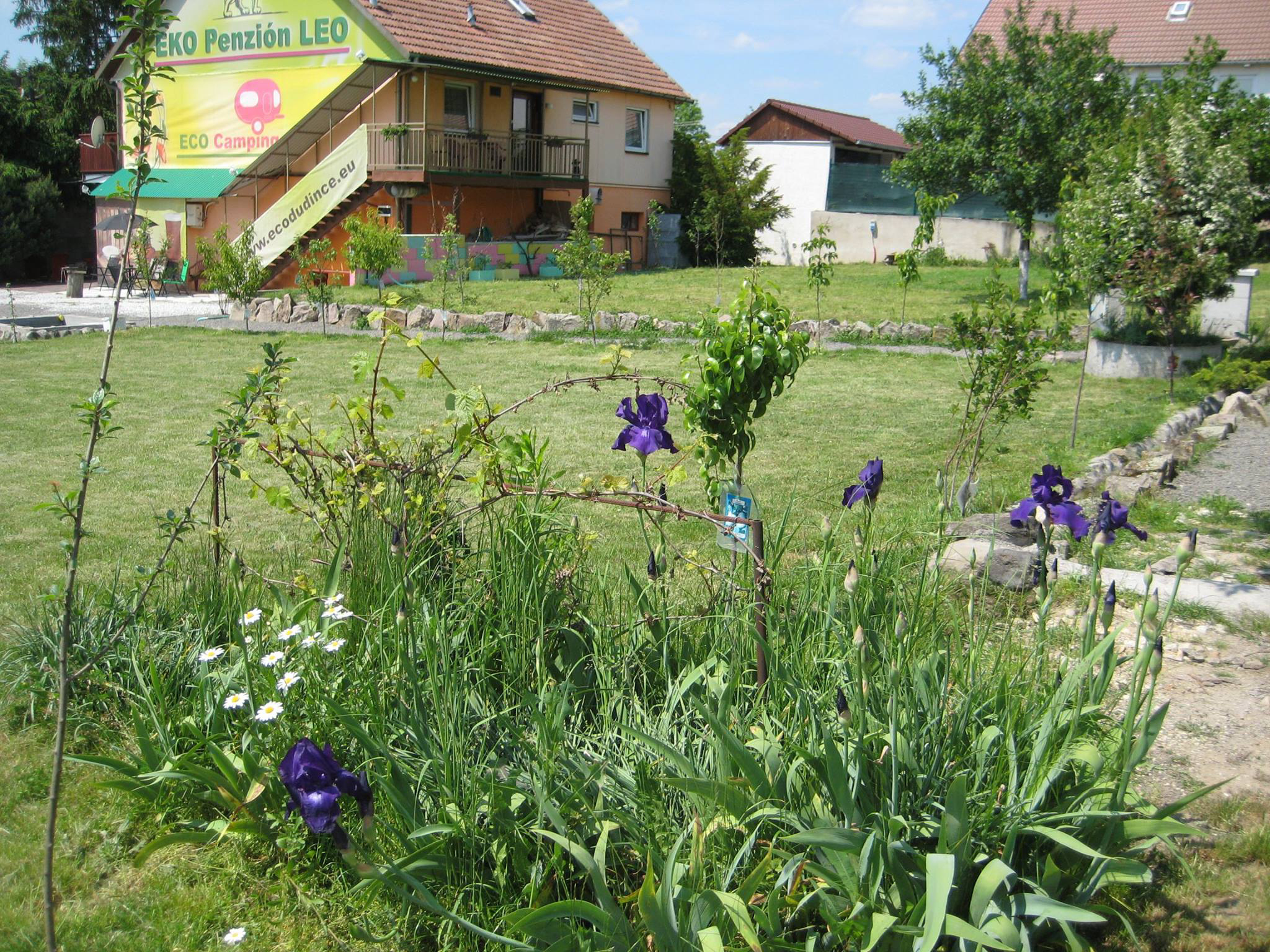 hotel Dudince flower