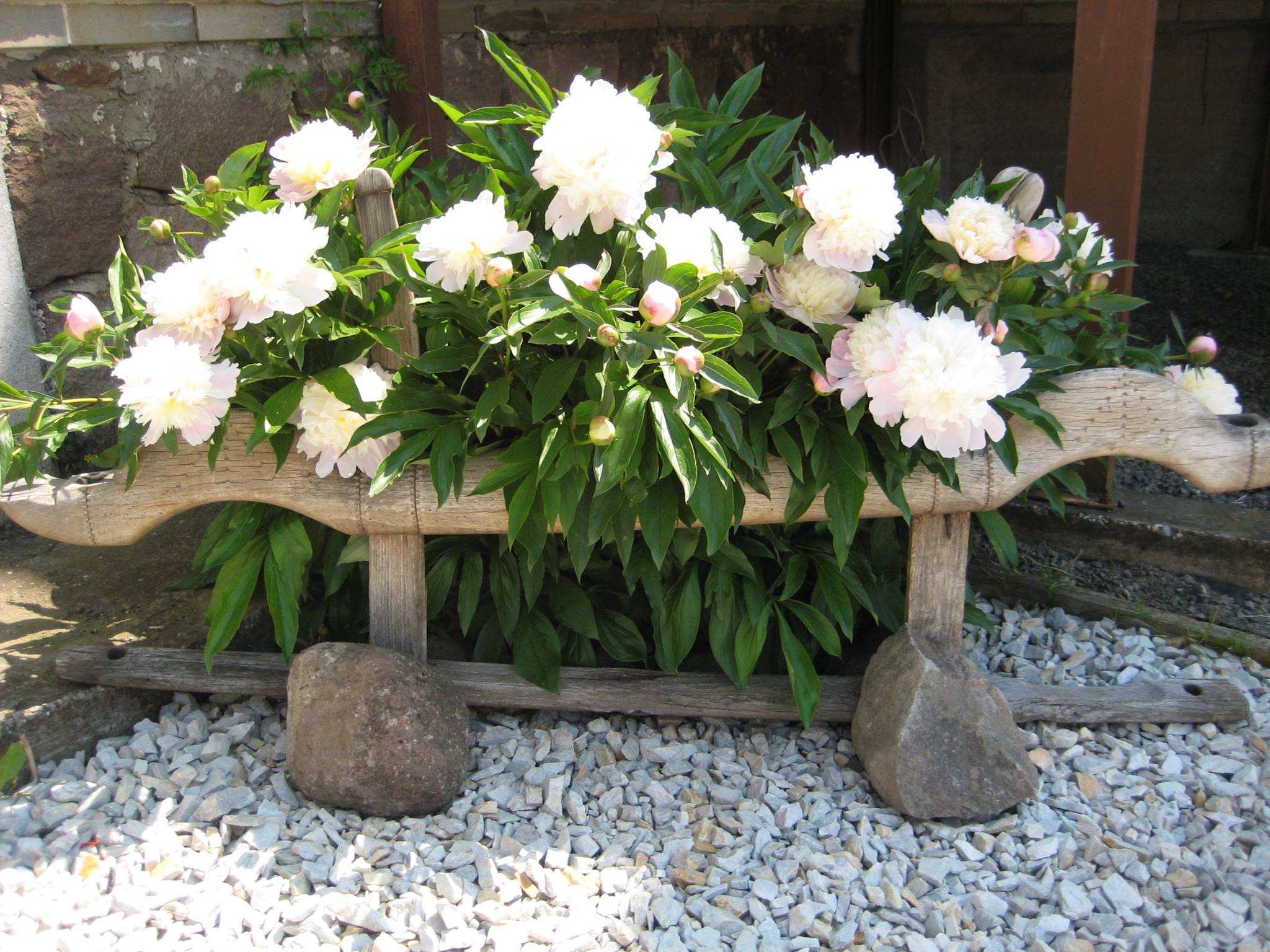 hotel Dudince garden